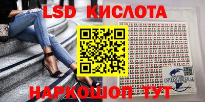 прущие грибы Партизанск